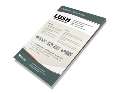 Lush case study