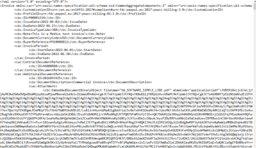 AP Automatisering - XML factuur screenshot