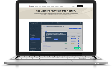 payment cards interactive demo