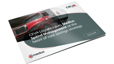 Ceva case study cover