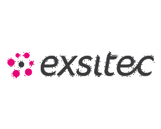 Exsitec logo